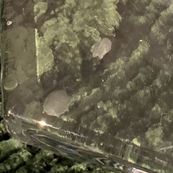 VTG 9" Heisey Imperial Old Williamsburg Clear Glass Candlestick - Picture 6 of 13